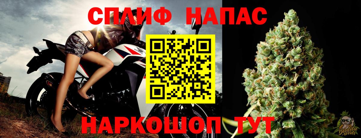 Конопля гибрид  Шишки марихуана план  Марихуана семена  Бошки марихуана план  Вход с VPN  Зеленокумск 